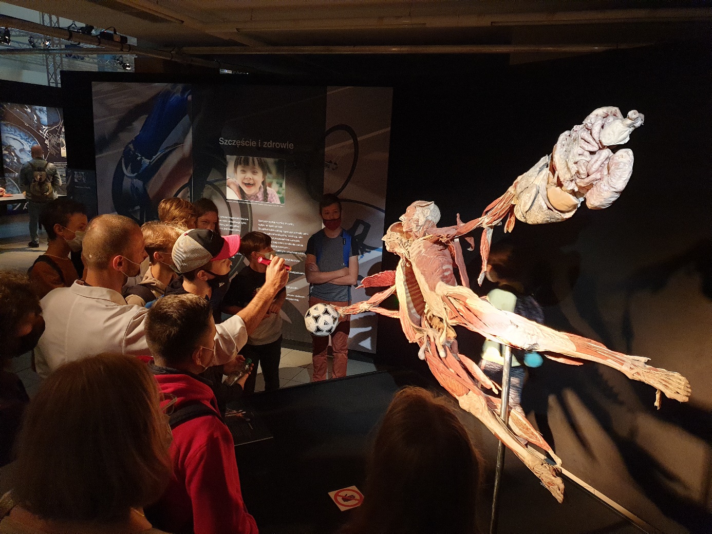 bodyworlds