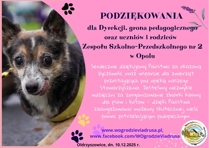 Fanty na bazarek dla hospicjum dla zwierząt pinie potrzebne - 15